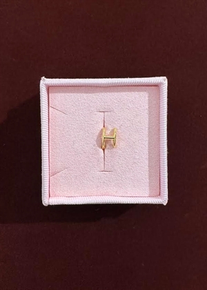 Spelling huggie H Forgyldt Pico 